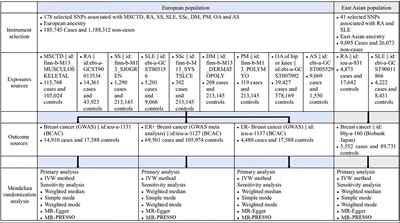 Diseases of the musculoskeletal system and connective tissue and risk of breast cancer: Mendelian randomization study in European and East Asian populations
